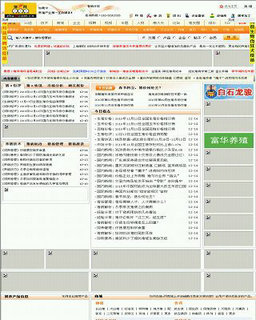 中國豬網